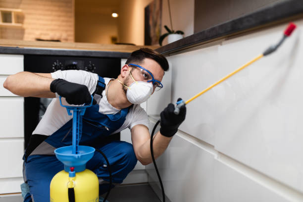 Best Residential Pest Control  in Maryland City, MD