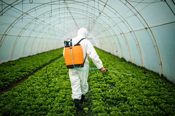 Best Pest Prevention Services  in Maryland City, MD