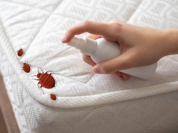 Best Pest Removal Services  in Maryland City, MD