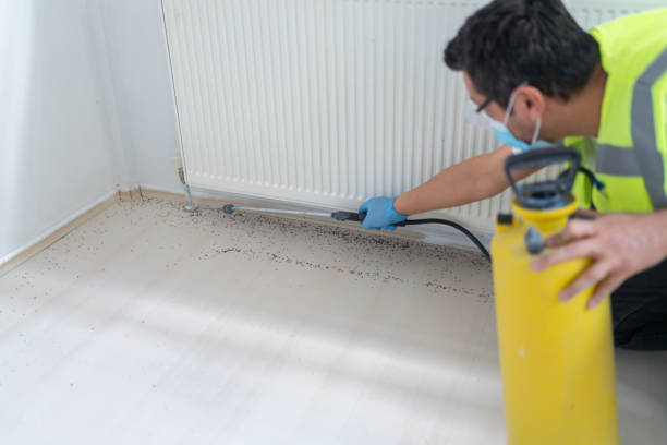 Best Rat Extermination Near Me  in Maryland City, MD