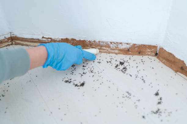Best Emergency Pest Control  in Maryland City, MD