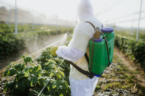 Best Mosquito Control Services  in Maryland City, MD